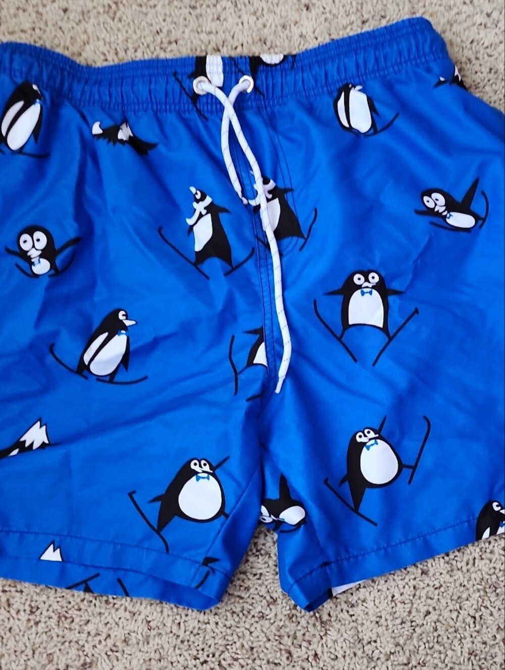 Blue Penguin Print Swim Shorts Boys Large